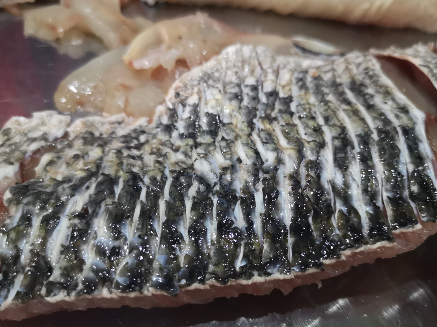 切魚片機(jī)，自動切魚片機(jī)，片魚片機(jī)器，魚片機(jī)廠家，切魚片機(jī)多少錢