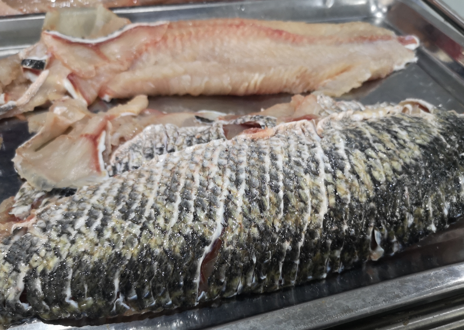 切魚片機(jī)，自動切魚片機(jī)，片魚片機(jī)器，魚片機(jī)廠家，切魚片機(jī)多少錢