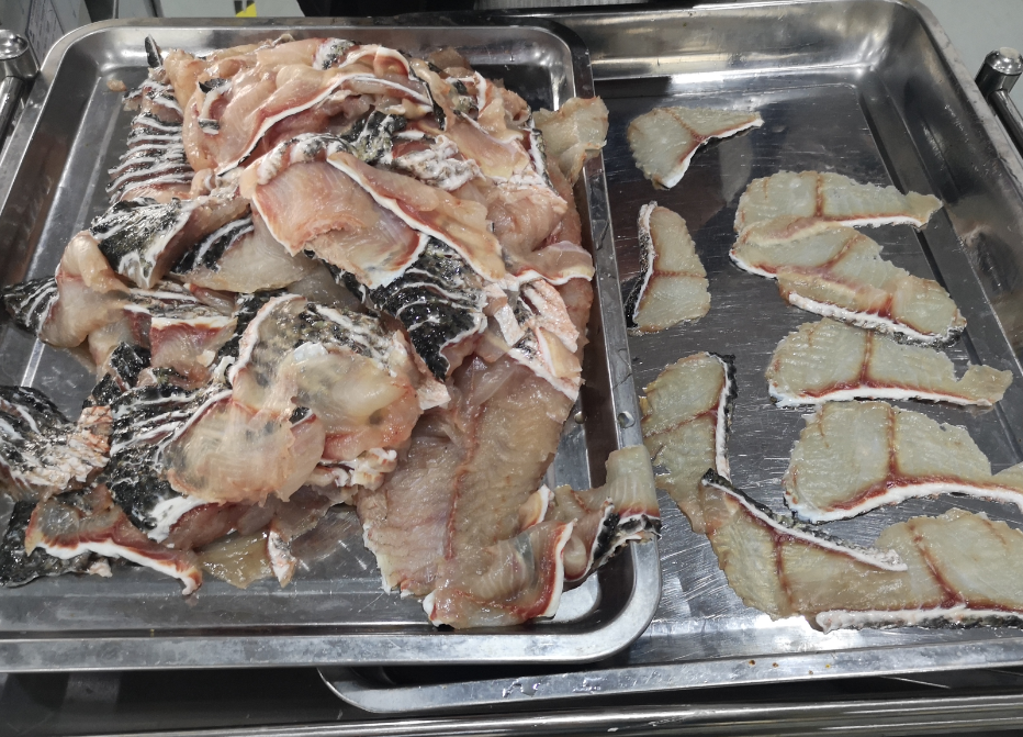 切魚片機(jī)，自動切魚片機(jī)，片魚片機(jī)器，魚片機(jī)廠家，切魚片機(jī)多少錢
