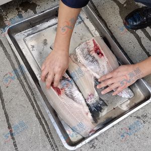 全自動(dòng)切魚片，去魚骨機(jī)
