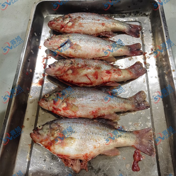 殺魚機(jī).jpg