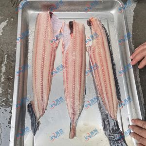現(xiàn)場(chǎng)試機(jī)鯰魚，三枚開片去魚骨機(jī)